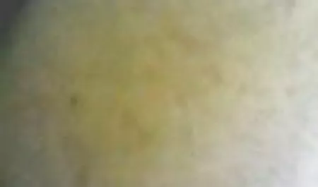 چین(هنگ کنگ)نادر سکس وحشیانه در جنگل d
